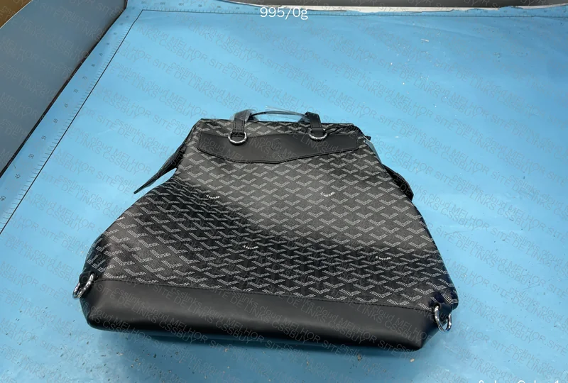 Goyard Backpack (Likely RL) 5