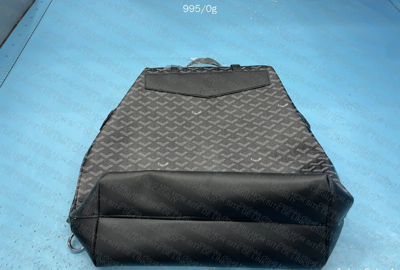 Goyard Backpack (Likely RL) 7