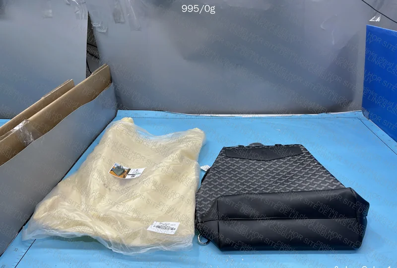 Goyard Backpack (Likely RL) 8
