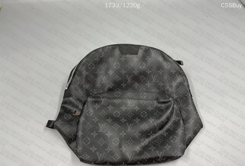 LV Backpack