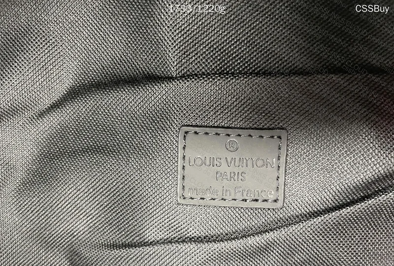 LV Backpack 3