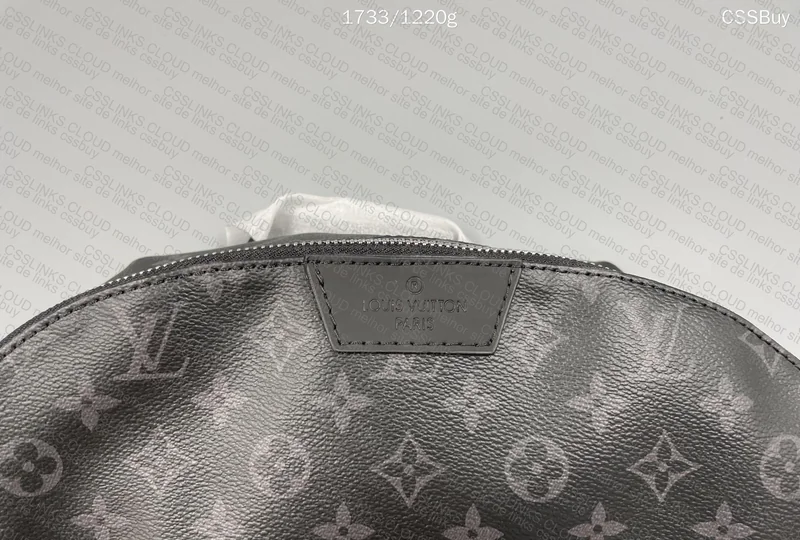 LV Backpack 4