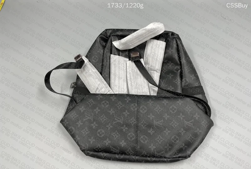 LV Backpack 5