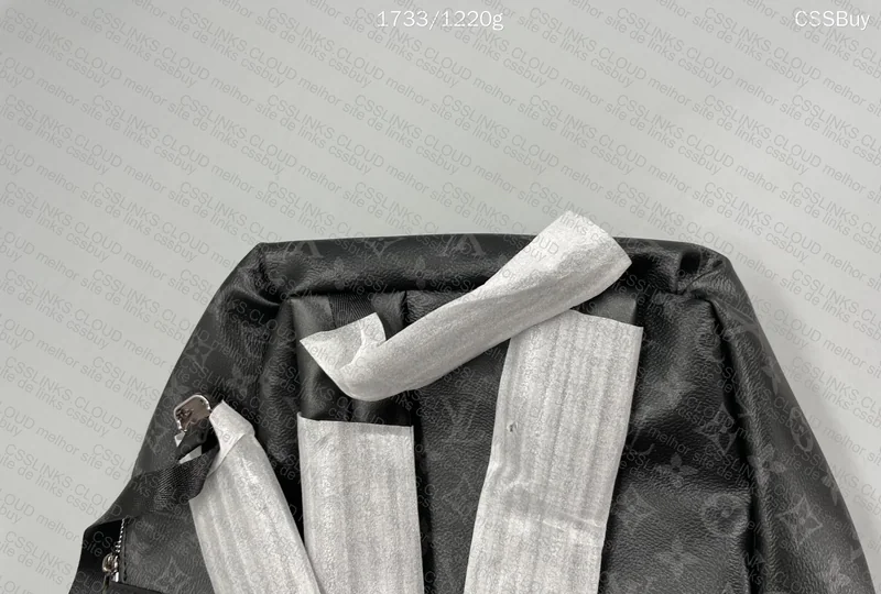 LV Backpack 6