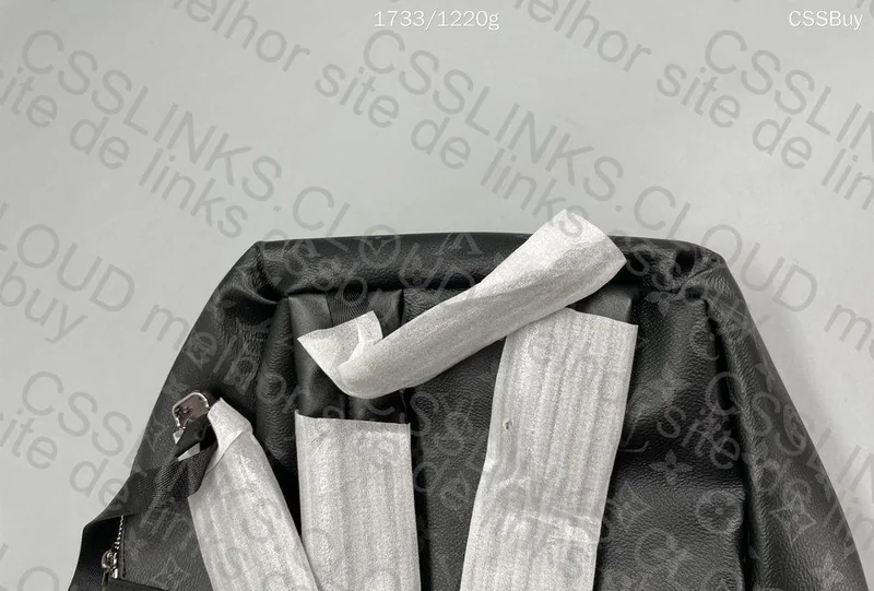 LV Backpack 7