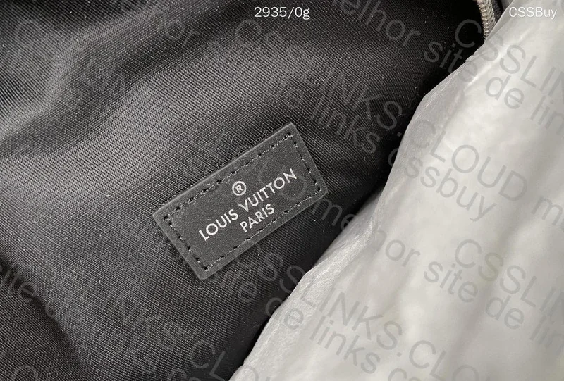 LV Backpack