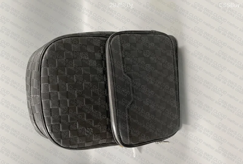 LV Backpack 2