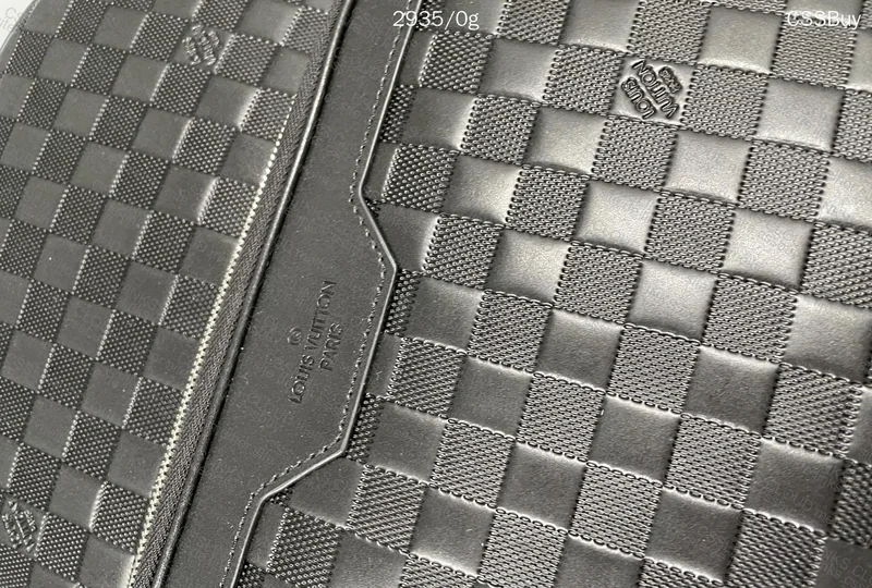LV Backpack 3