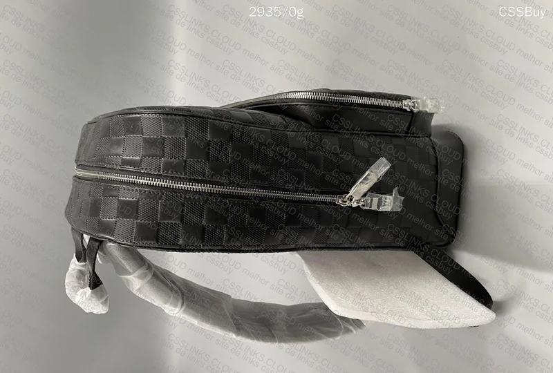 LV Backpack 4