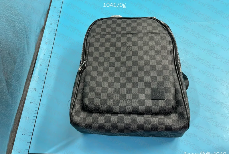 LV Backpack