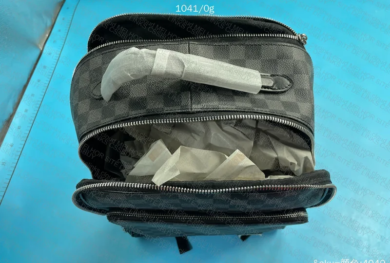 LV Backpack 4