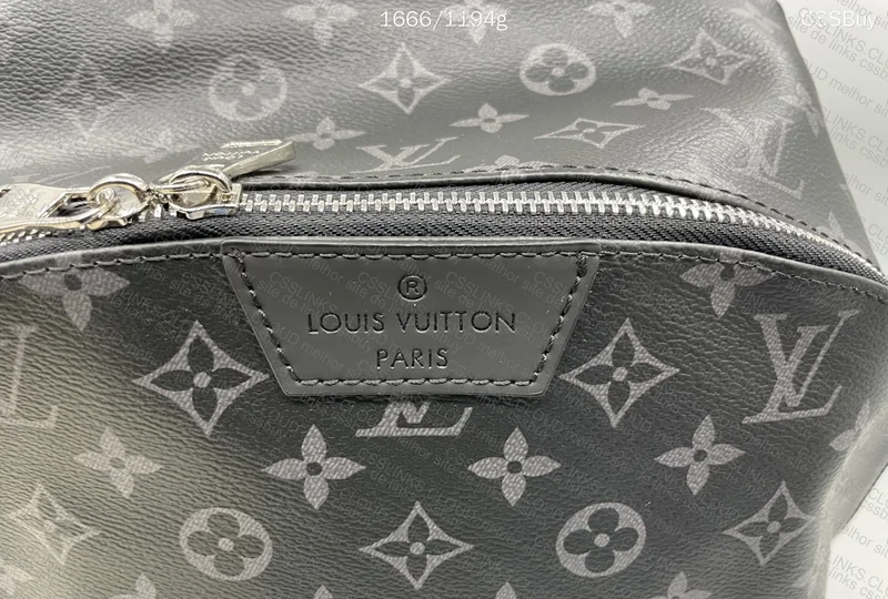 Louis Vuitton Backpack 2