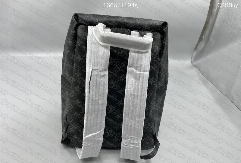 Louis Vuitton Backpack 4