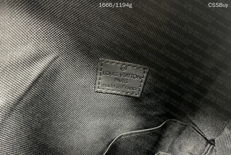 Louis Vuitton Backpack 6