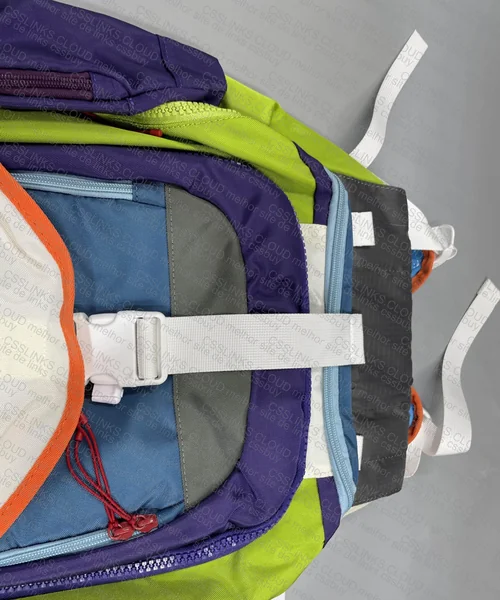 Nike SB Eugene Buzz Lightyear Backpack 2