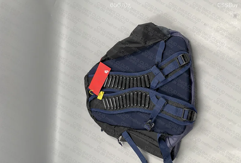 Nike USA Dream Backpack 3