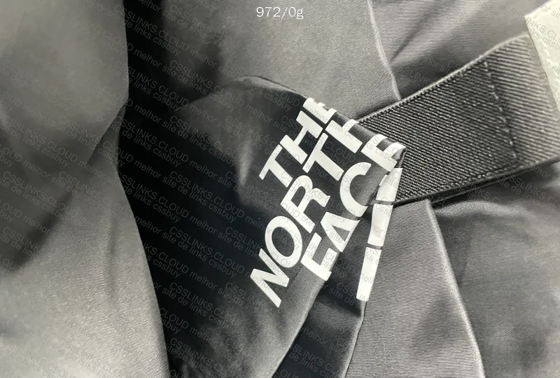 North Face Backpack 2