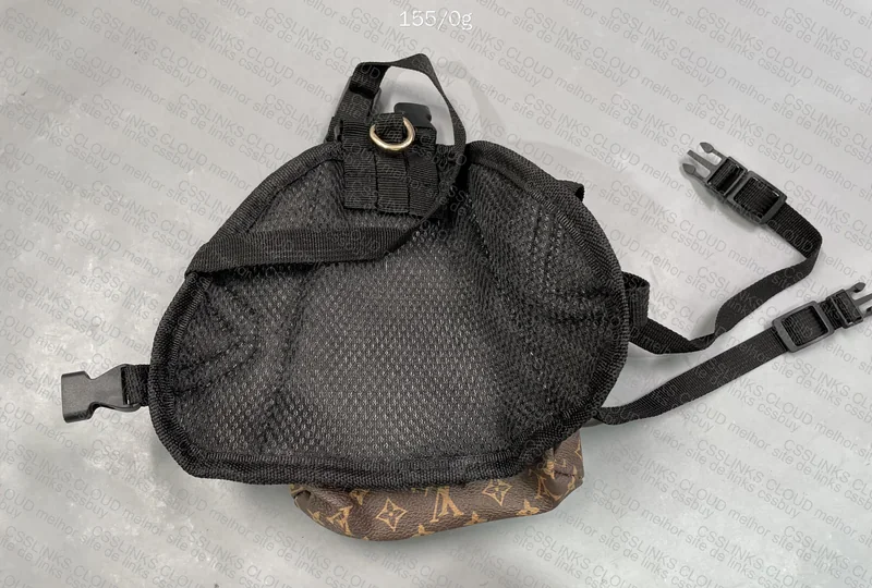 LV Dog Backpack 2