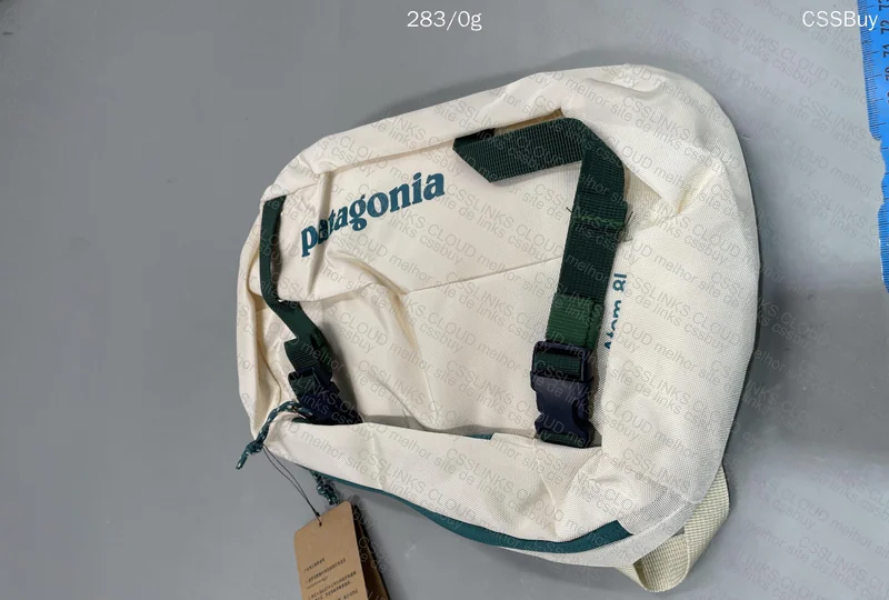 Patagonia Backpack