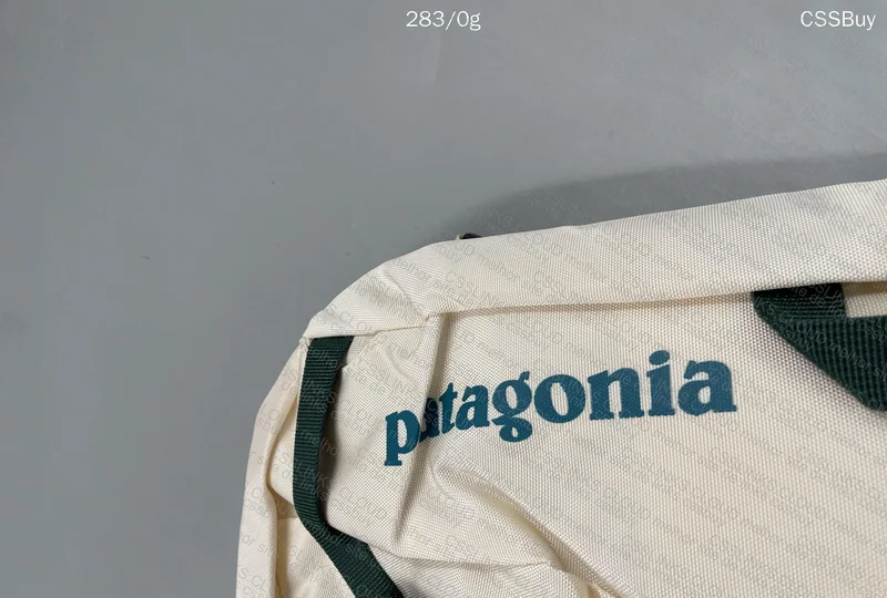 Patagonia Backpack 2