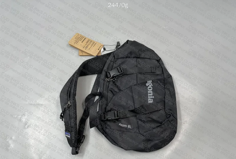 Patagonia Backpack