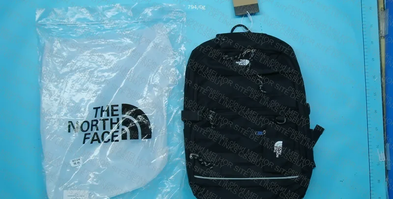 The North Face TNF Backpack 2