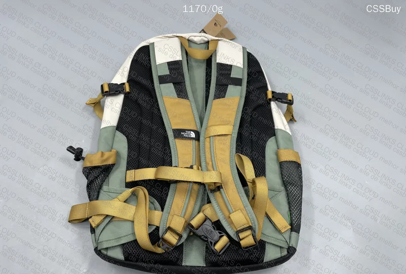 The North Face Backpack 2