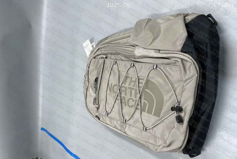 The North Face Backpack 2