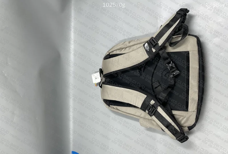 The North Face Backpack 4