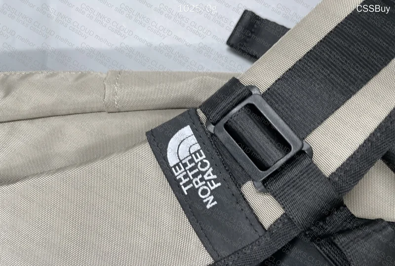 The North Face Backpack 5