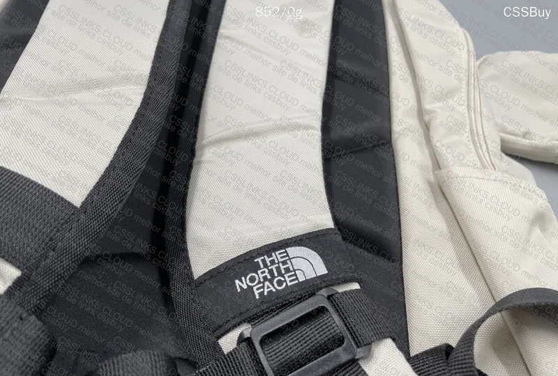 The North Face Backpack 5