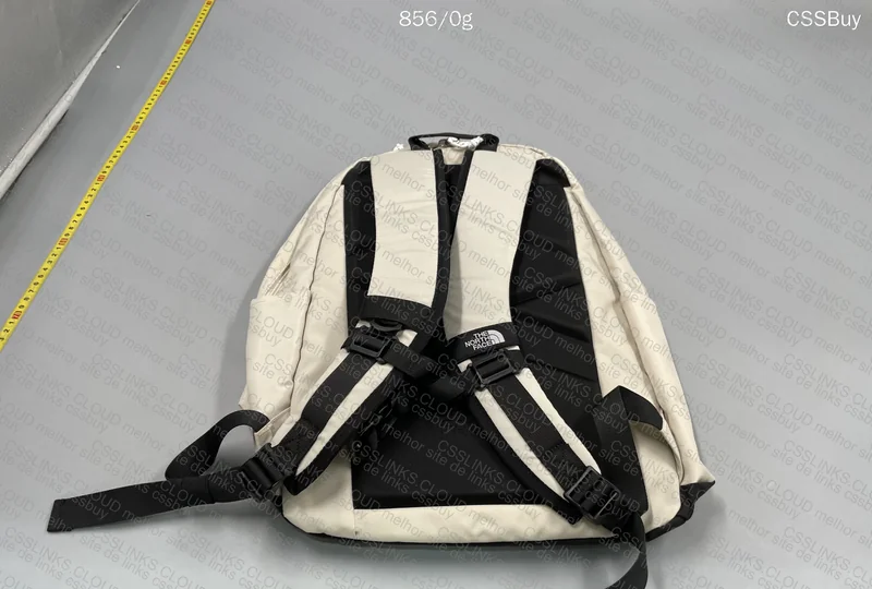 The North Face Backpack 4