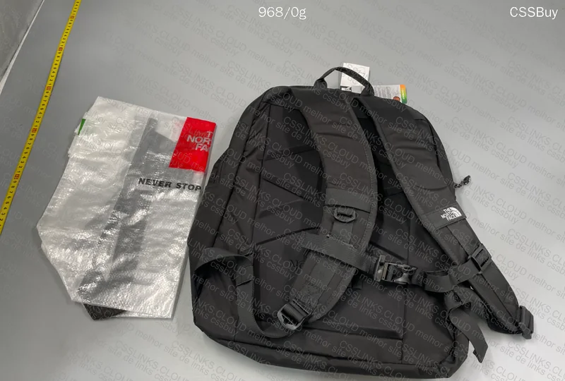 The North Face Backpack 4