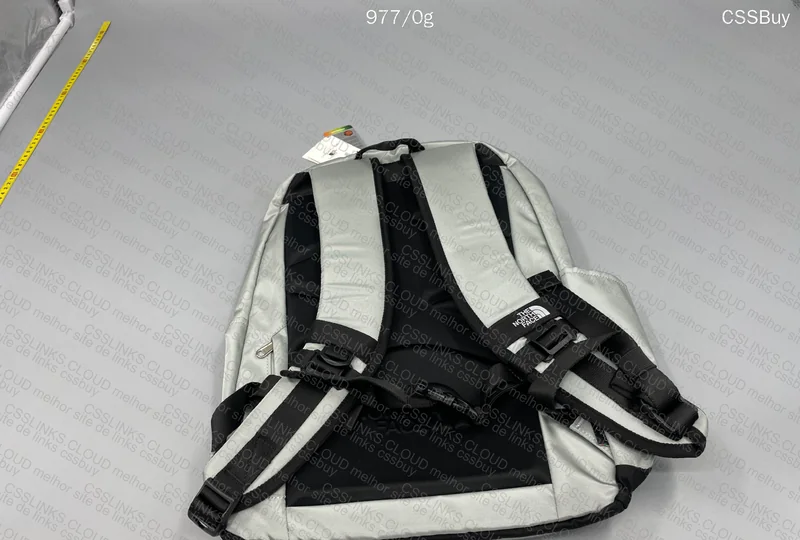 The North Face Backpack 2