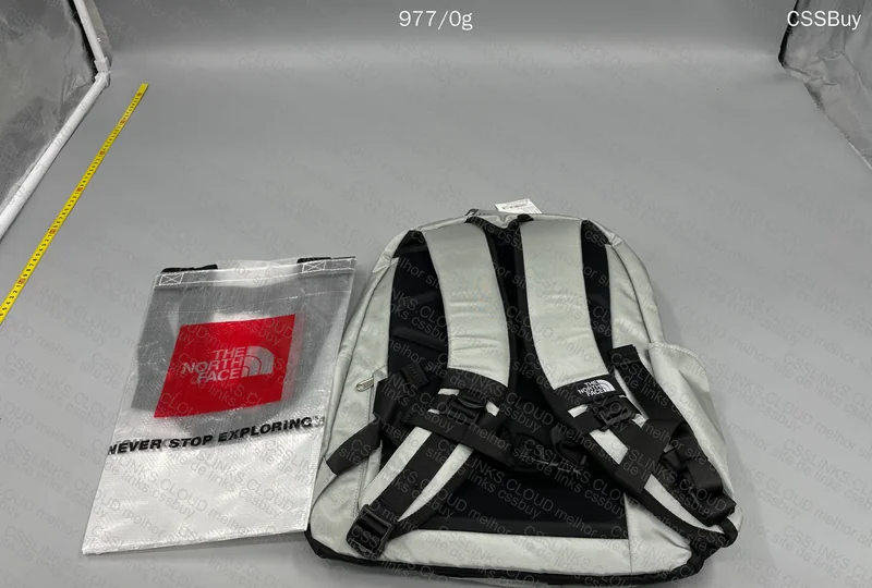 The North Face Backpack 3