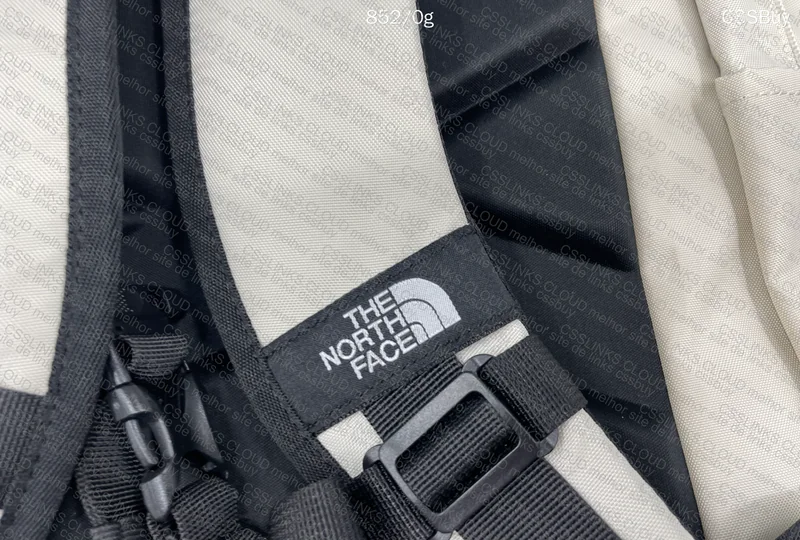 The North Face Backpack 2