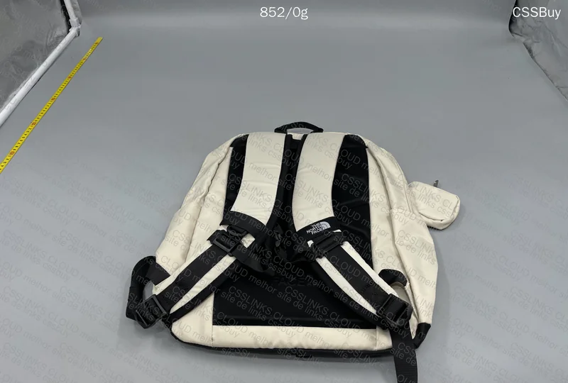 The North Face Backpack 3