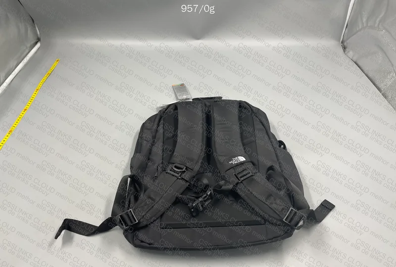 The North Face Backpack 2
