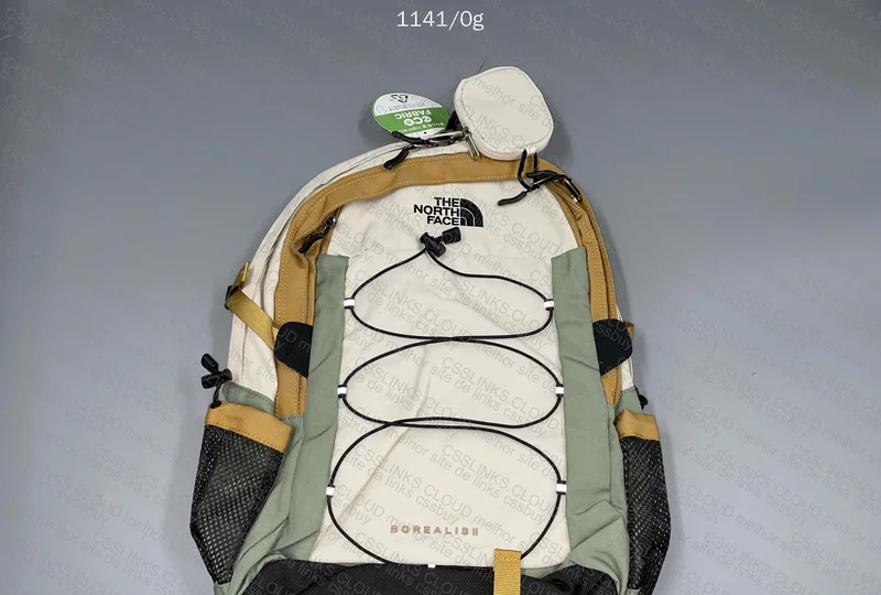 The North Face Backpack 2