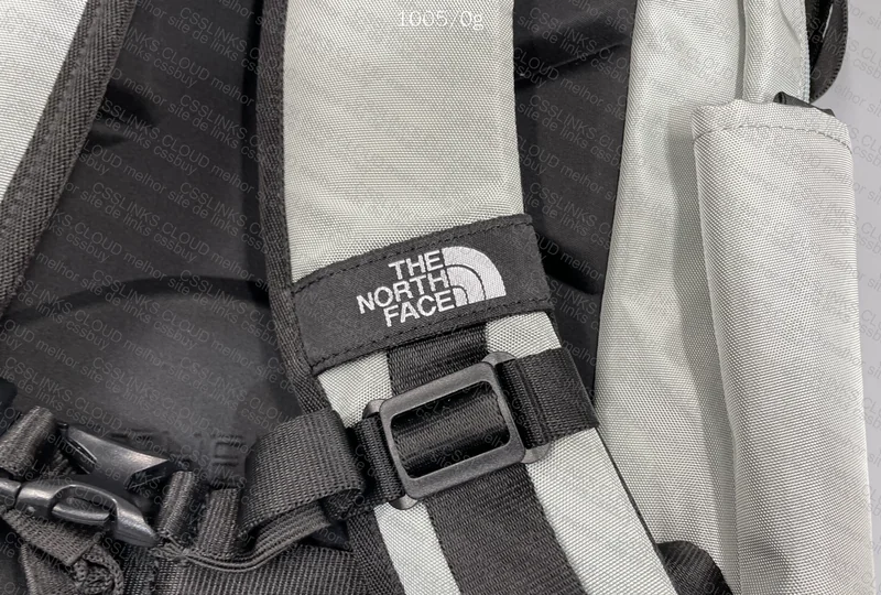 The North Face Backpack 2