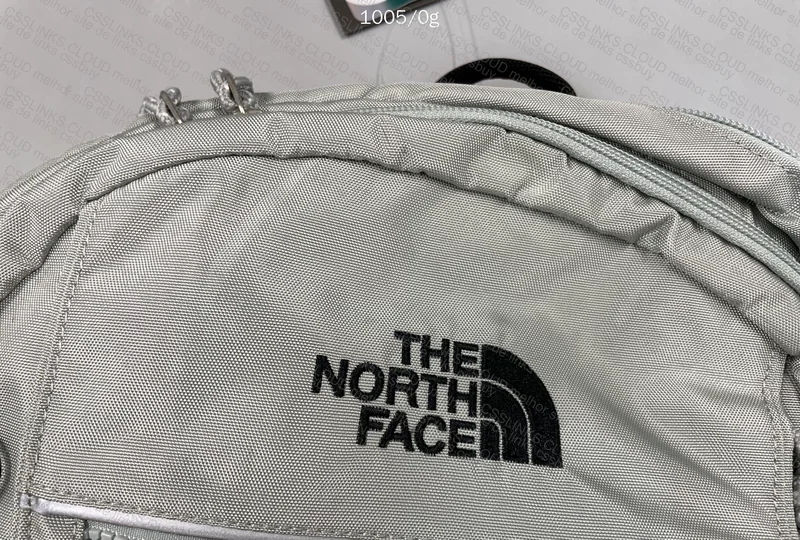 The North Face Backpack 3