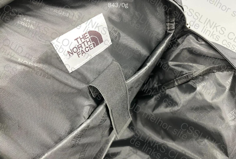 The North Face Backpack 5