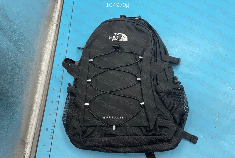 The North Face Backpack 2