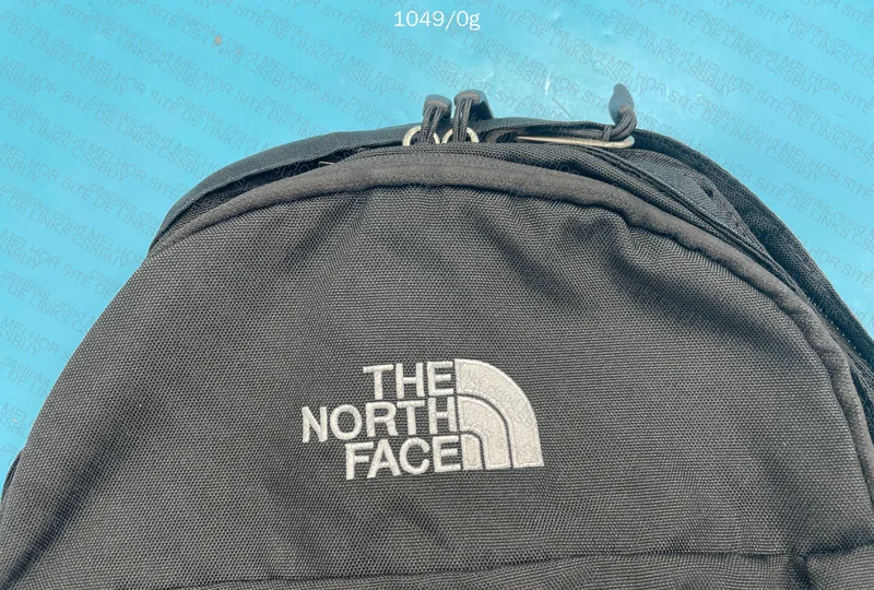 The North Face Backpack 3