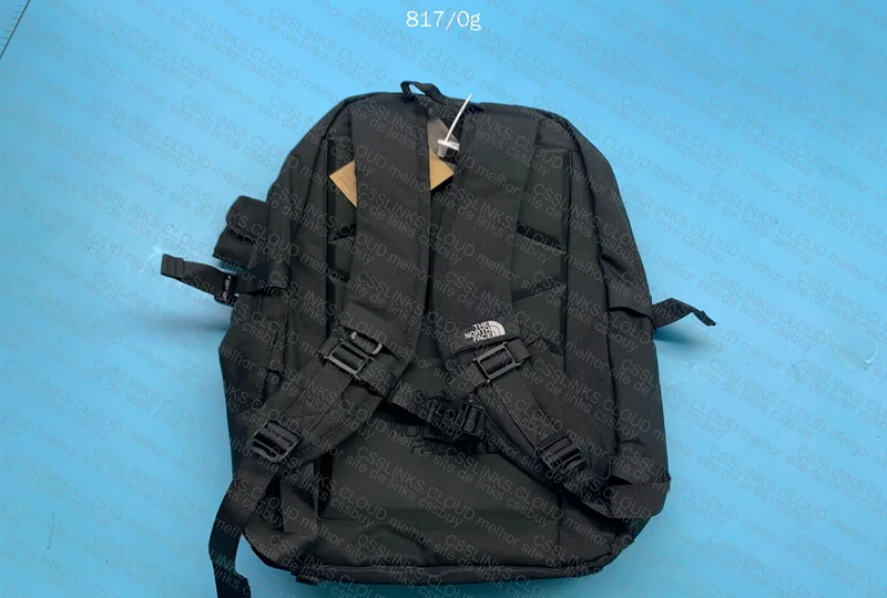 The North Face Backpack 2