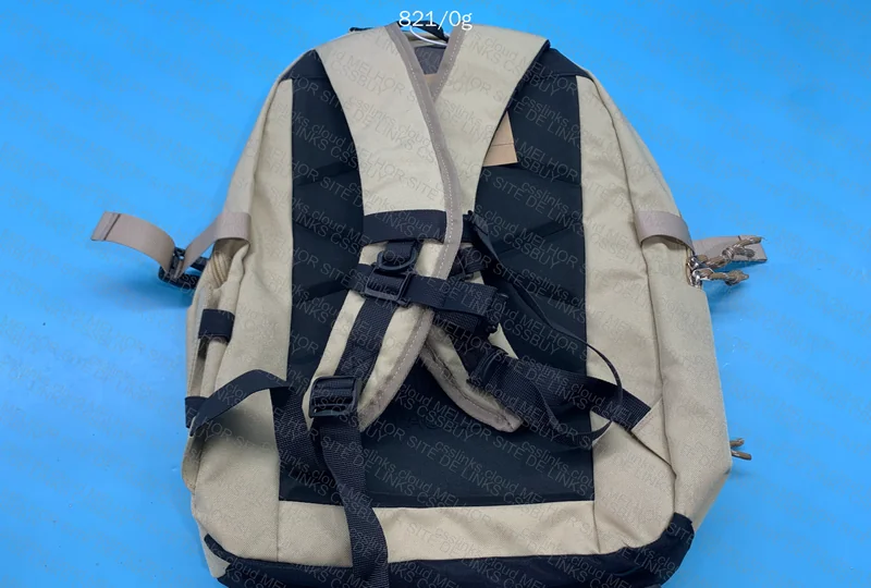 The North Face Backpack 6