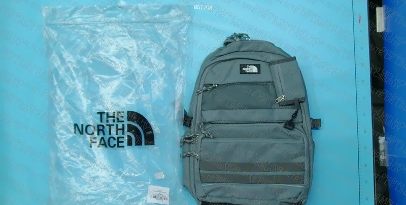 The North Face Backpack 2