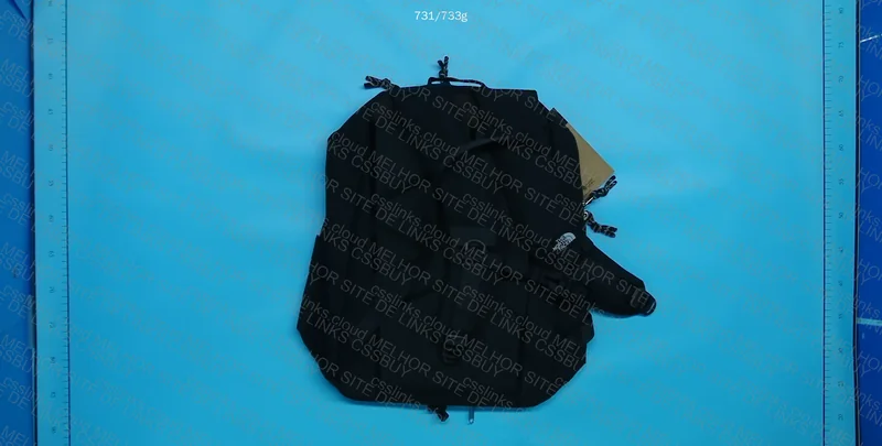 The North Face Backpack 2