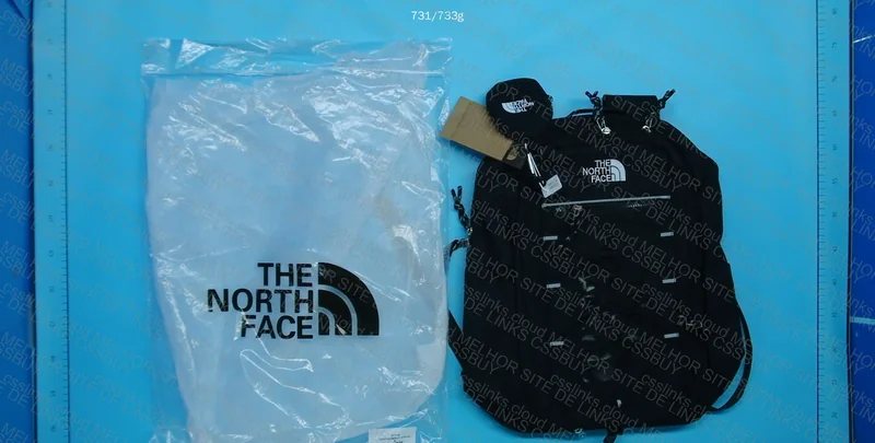 The North Face Backpack 3