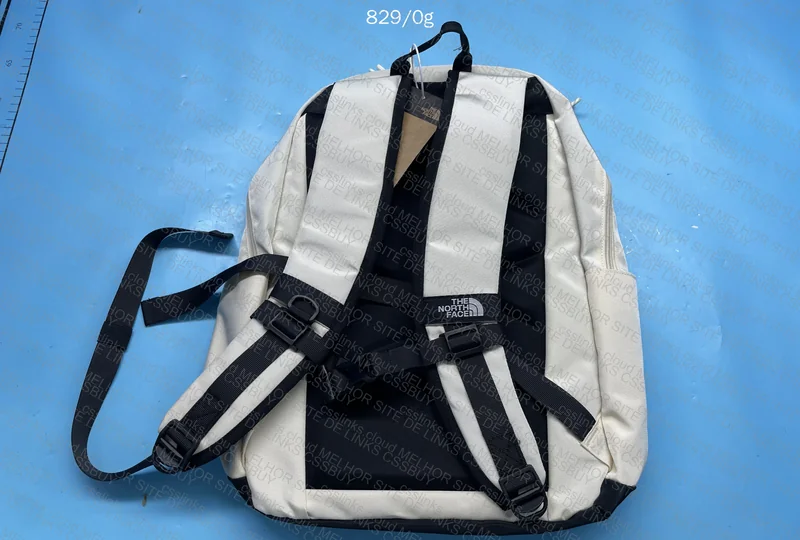 The North Face Backpack 3